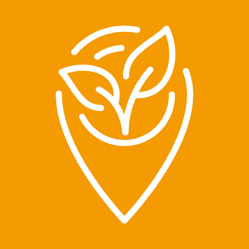 Article SEMENE (500 x 500 px)